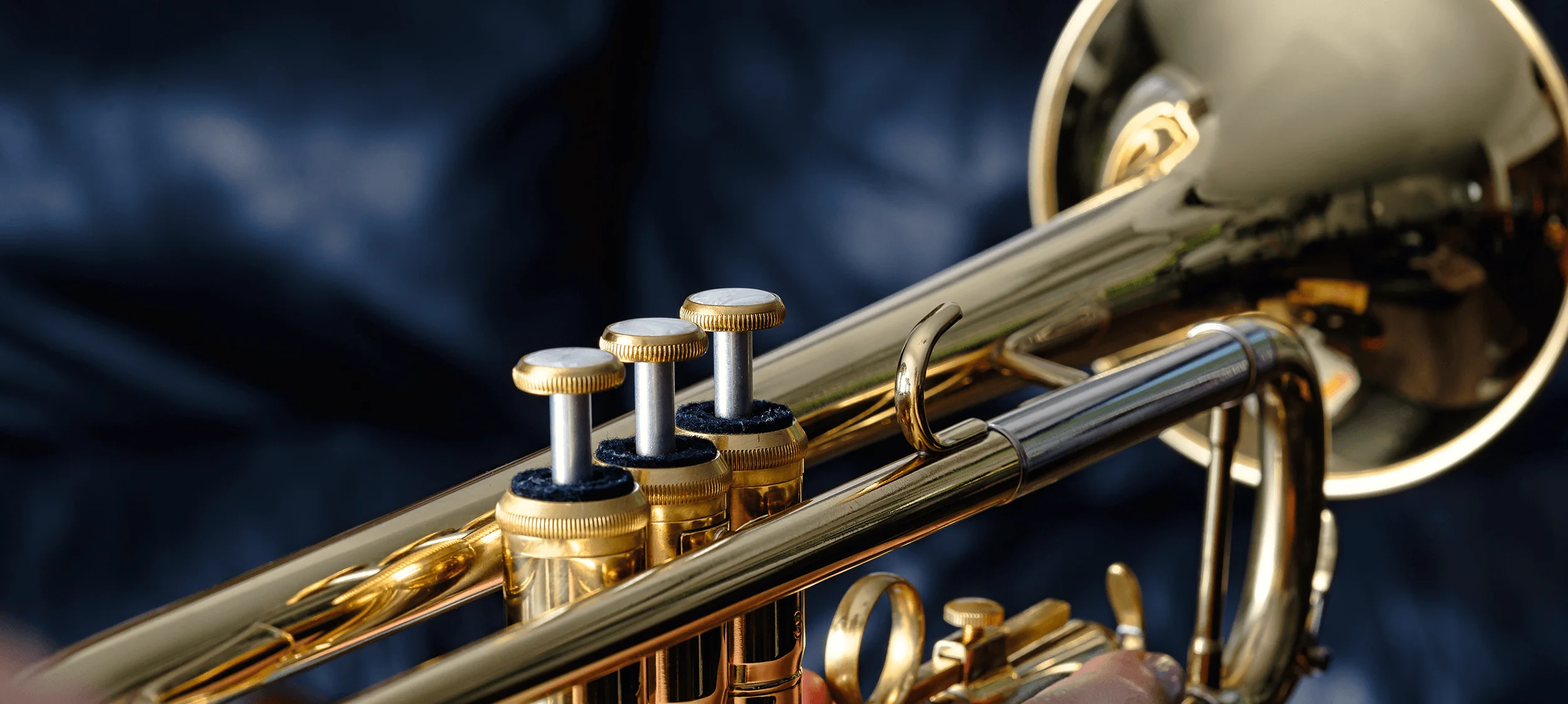 Welcome to Our Store